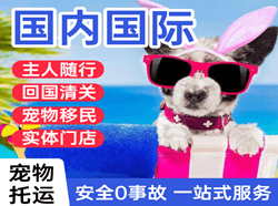 邵阳武冈机场邮寄国际宠物托运 【国